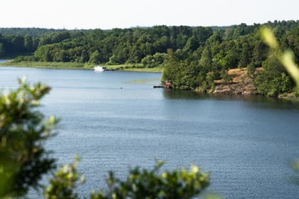 Bild av närområdet