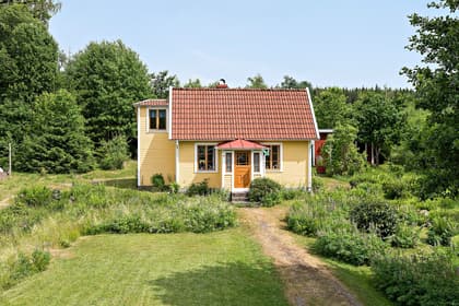 Bild av trädgården