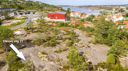 Bild av trädgården