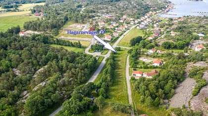 Bild av trädgården