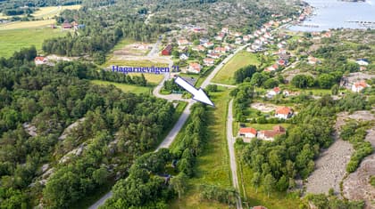 Bild av trädgården