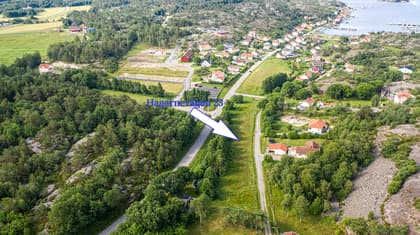 Bild av trädgården