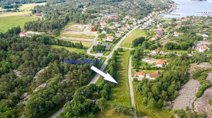 Bild av trädgården