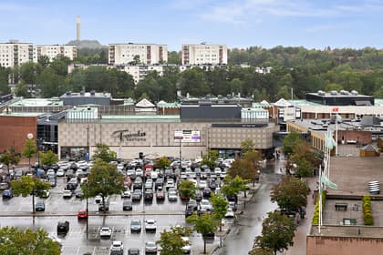 Bild av trädgården