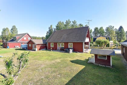 Bild av trädgården