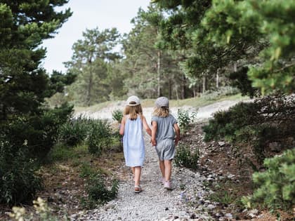 Kv Skogsterrassen, Kristineberg