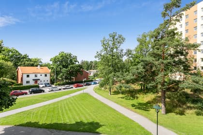 Bild av trädgården