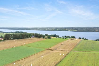 Västra Örträsk 52, Örträsk