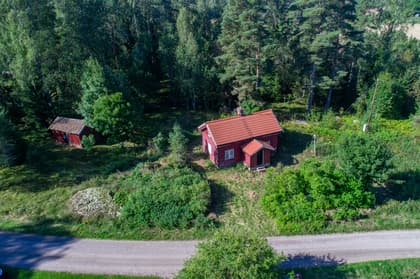 Bild av trädgården