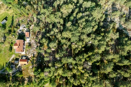 Bild av trädgården