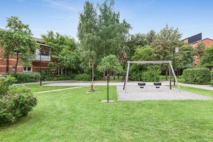 Bild av trädgården