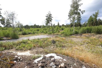 Bild av trädgården