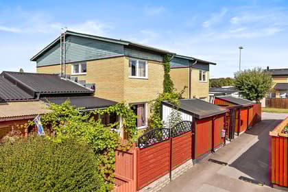 Bild av trädgården