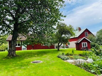 Bild av trädgården