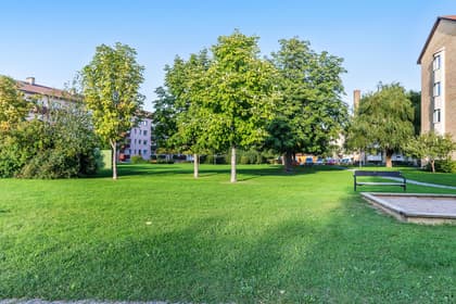 Bild av trädgården