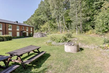 Bild av trädgården