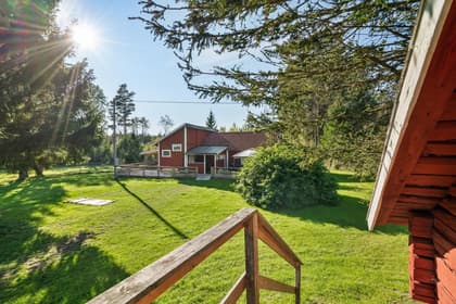 Bild av trädgården