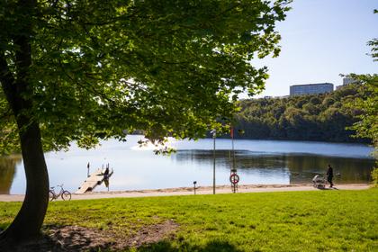 Bild av närområdet