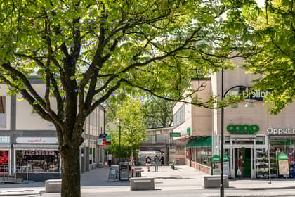 Bild av närområdet