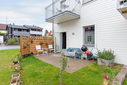 Bild av trädgården