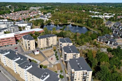 Bild av trädgården
