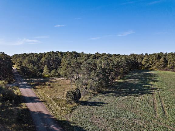 Silte Bjärges 743, Gotland