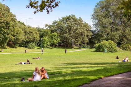 Bild av trädgården