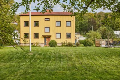 Bild av trädgården