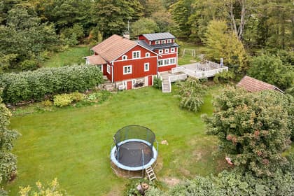 Bild av trädgården