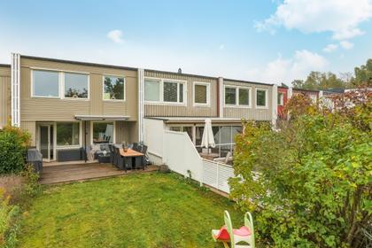 Bild av trädgården