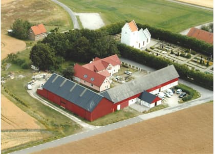 Bild av trädgården