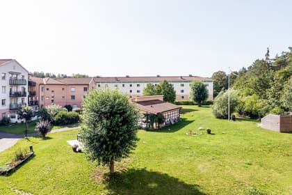 Bild av trädgården