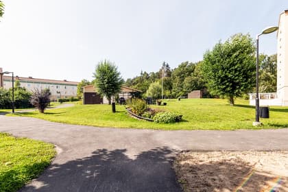 Bild av trädgården