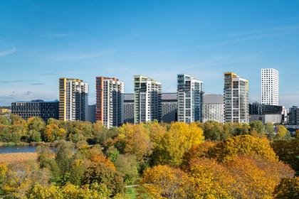 Bild av trädgården