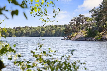 Bild av trädgården