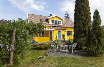 Bild av trädgården