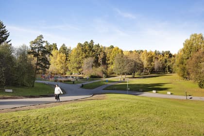 Bild av trädgården