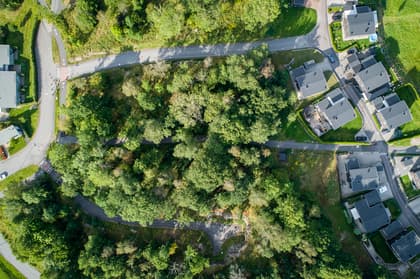 Bild av trädgården