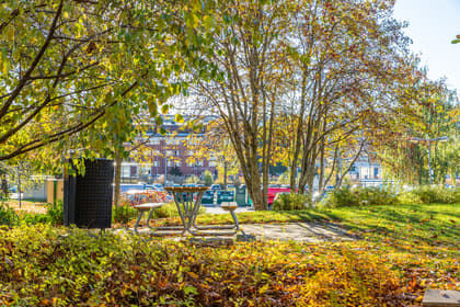 Bild av trädgården