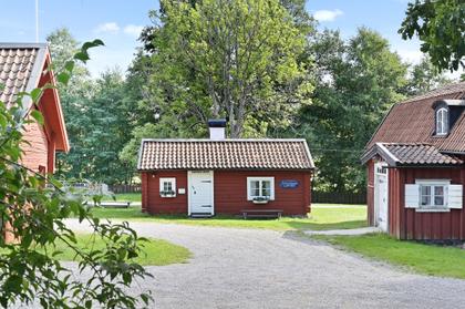 Bild av trädgården