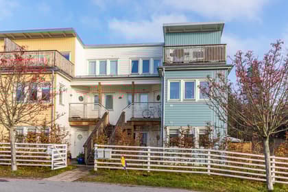 Bild av trädgården