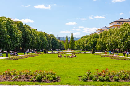 Bild av trädgården