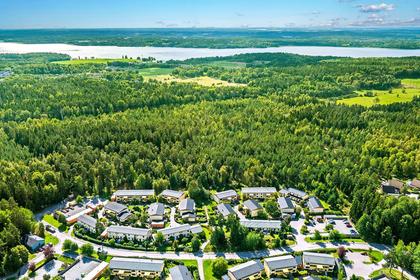 Bild av trädgården