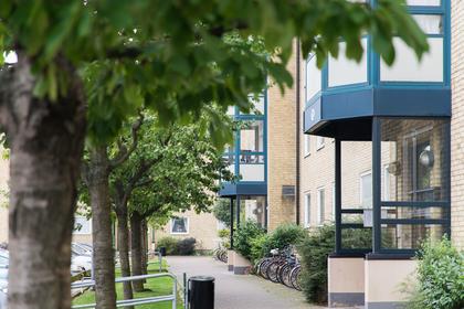 Bild av närområdet