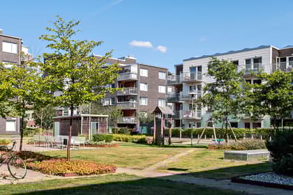 Toltorpsgatan 137, Toltorpsdalen