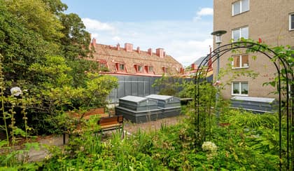 Bild av trädgården