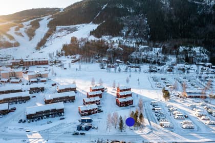 Bild av trädgården