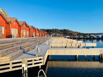 Bild av trädgården