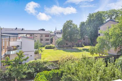 Bild av trädgården