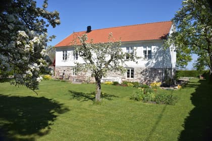 Bild av trädgården